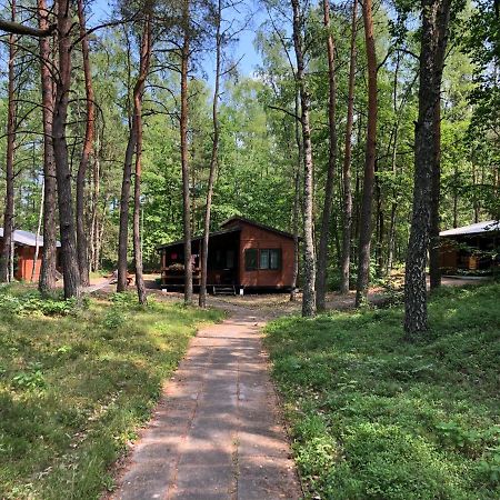 Lesnik Bungalow Stegna - Domki Letniskowe Nad Morzem Exterior foto