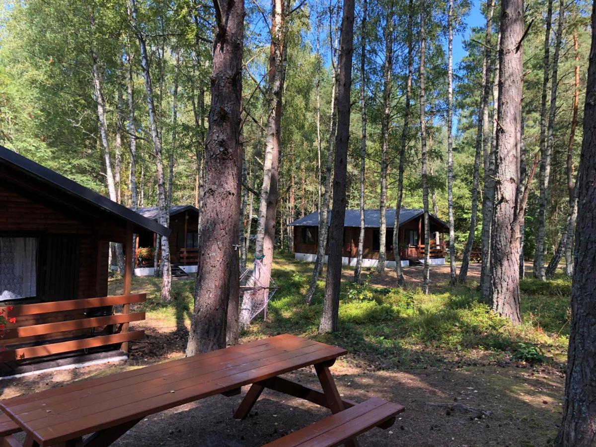 Lesnik Bungalow Stegna - Domki Letniskowe Nad Morzem Exterior foto