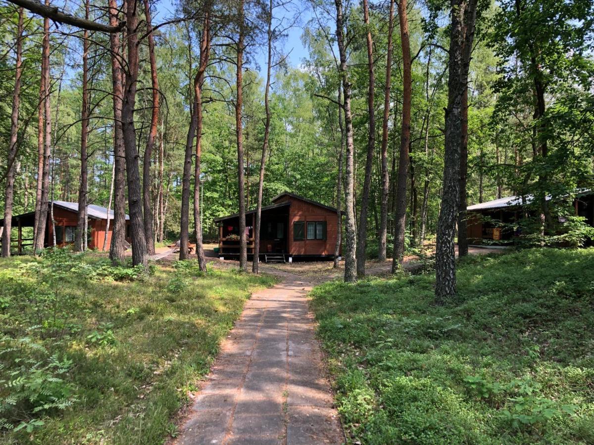 Lesnik Bungalow Stegna - Domki Letniskowe Nad Morzem Exterior foto