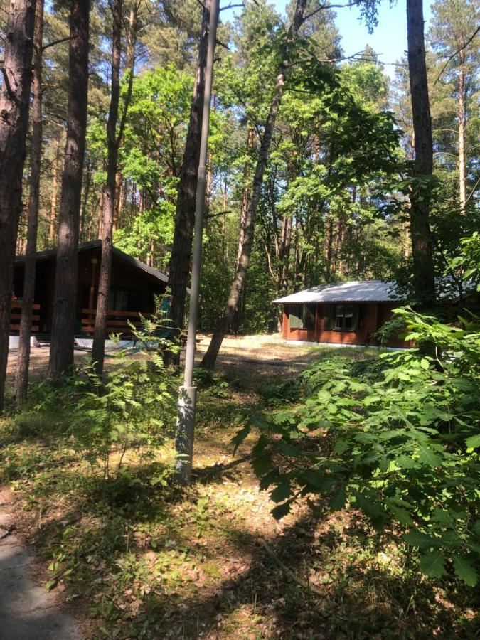 Lesnik Bungalow Stegna - Domki Letniskowe Nad Morzem Exterior foto