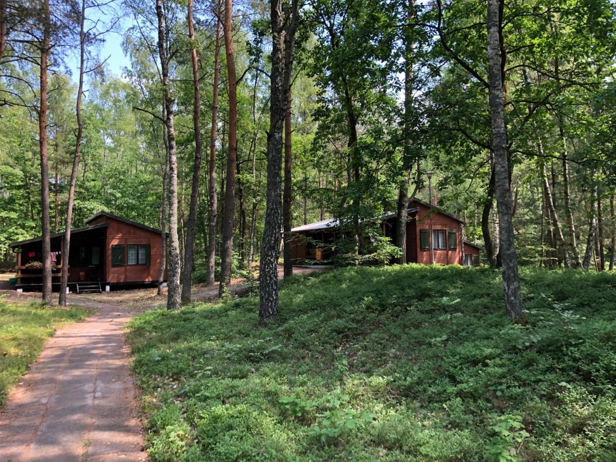 Lesnik Bungalow Stegna - Domki Letniskowe Nad Morzem Exterior foto